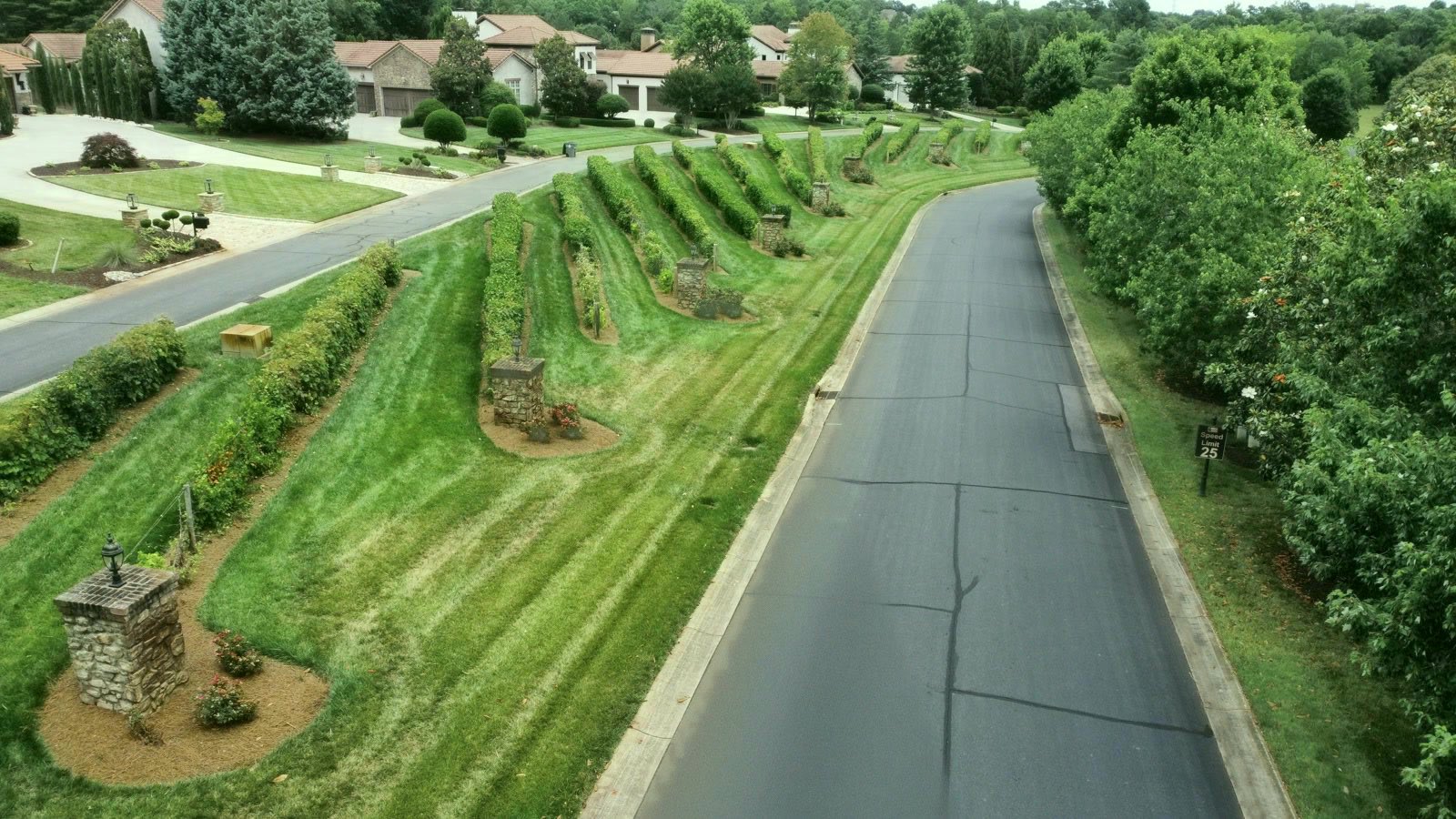Manicured vineyard rows lining a community street